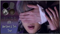 BTS - Blood Sweat & Tears Teaser k-pop [german Sub]