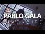 Blackbird - The Beatles Acoustic Cover By Pablo Gala Sedas