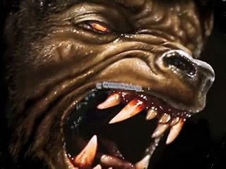 ZÉ RAMALHO_ MISTÉRIO DA MEIA NOITE