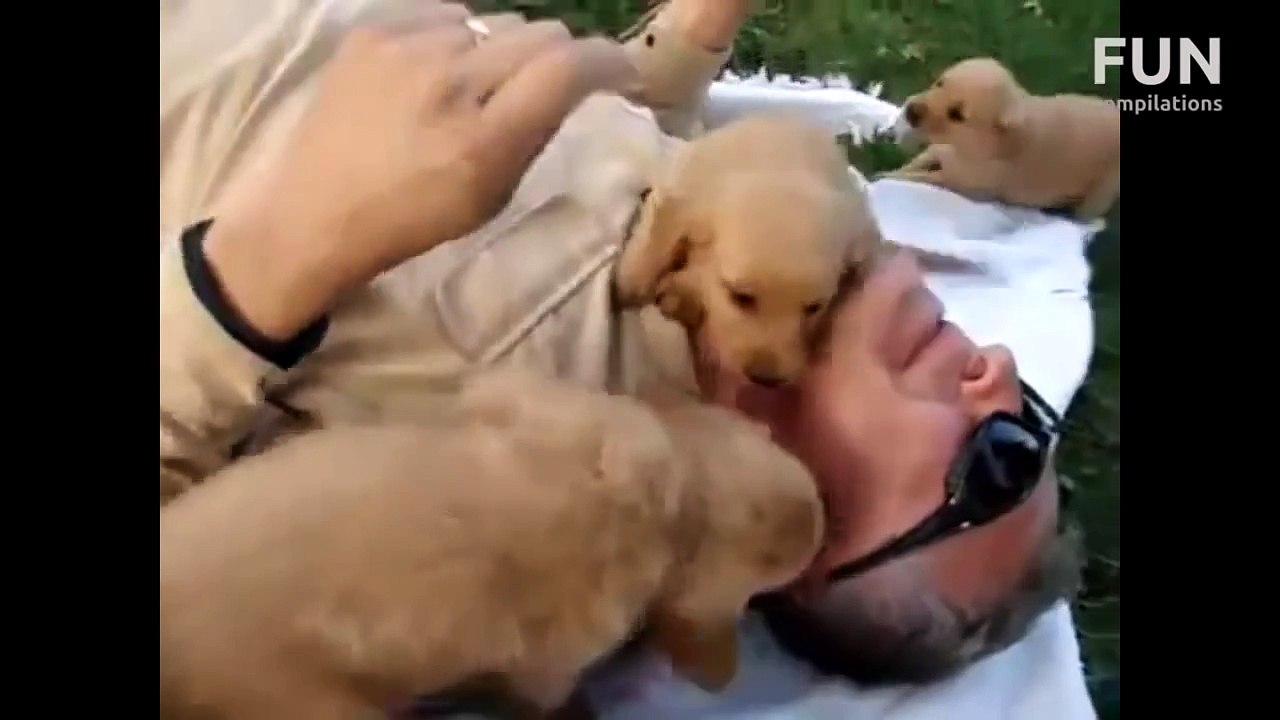 Funniest Cute Puppies Compilation February 2013