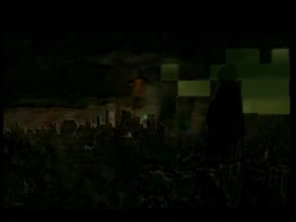 DJ ROSS 971 VIDEOMIX PARTY 8