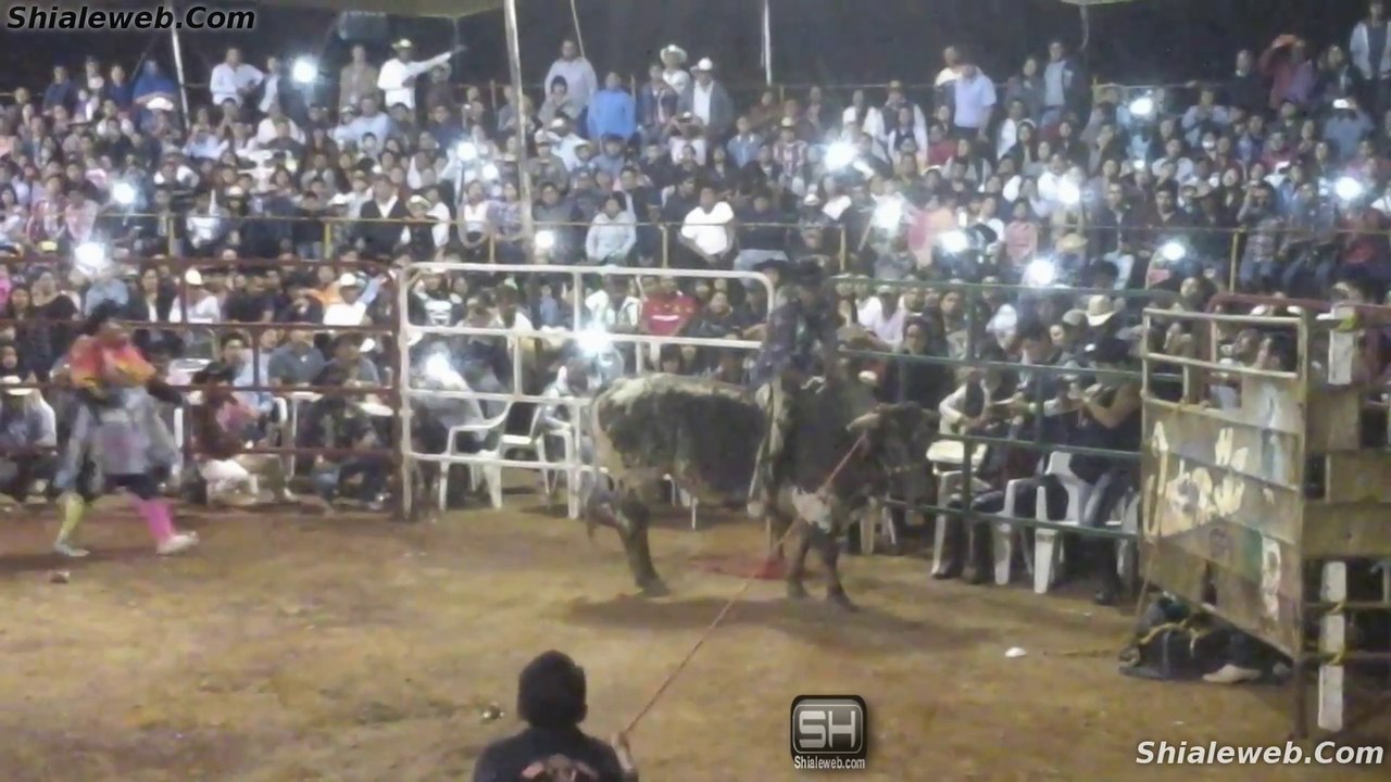JARIPEO RANCHERO CON LOS DESTRUCTORES DE MEMO OCAMPO TOROS SALVAJES EN LOS REYES LA PAZ MEXICO GANADERIA OCT 2016