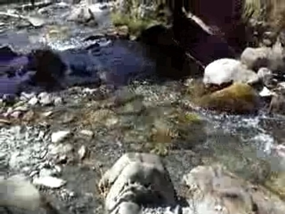 TORRENT DU LAC D'ARRIOUS