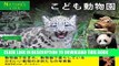 [PDF] The photographs of the animal kids in a zoo NATUREs LIFE (Japanese Edition) Full Collection