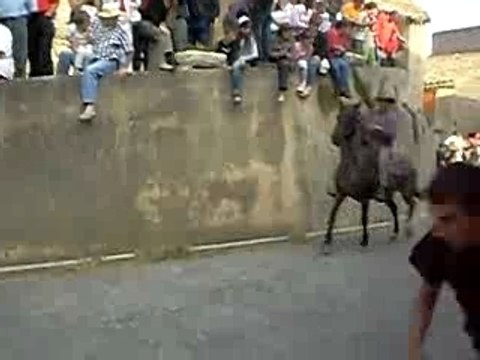 féria d'aigues-vives 2007 (5 partie)