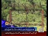 Waqtnews Headlines 11:00 AM 07 OCT 2016