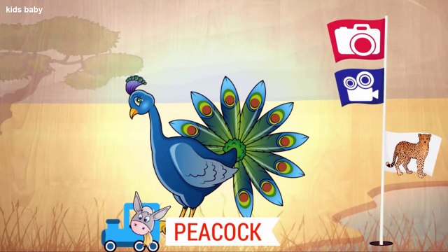 Farm animals and Wild Animals | Learn Name Animal Puzzles for Kids