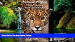 Big Deals  Pantanal Wildlife: A Visitor s Guide To Brazil s Great Wetland (Bradt Wildlife Guides)
