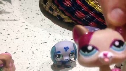 Lps costumes and some updates