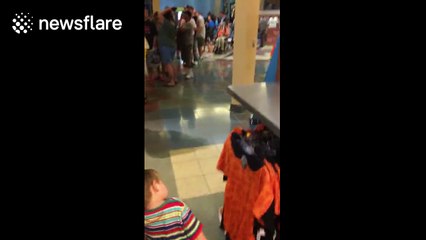 Huge queue to get food at Disney's Pop Century Resort due to Hurricane Matthew