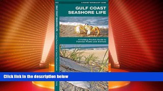 Big Deals  Gulf Coast Seashore Life: A  Folding Pocket Guide to Familiar Plants and Animals