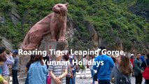 Roaring Tiger Leaping Gorge, Tourist Attraction - Yunnan Holidays