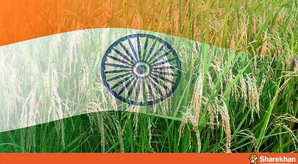 Sharekhan Stock Idea- PI Industries