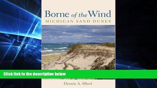 Big Deals  Borne of the Wind: Michigan Sand Dunes  Best Seller Books Most Wanted
