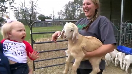 Bébé VS chèvre : qui gueule le plu fort??