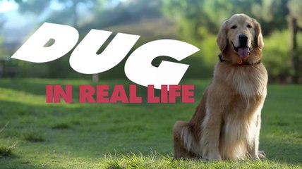 Doug, le chien du film Là-haut parle en vrai !