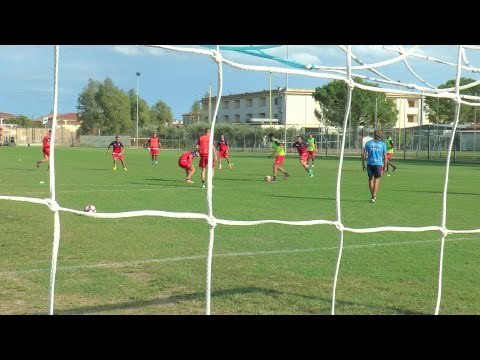 Doppia seduta per gli squali