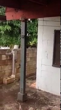 Best Hawaiian Military Relocation Specialist