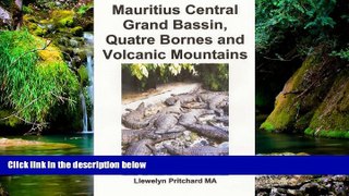 Must Have PDF  Mauritius Central Grand Bassin, Quatre Bornes and Volcanic Mountains: A Souvenir