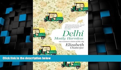 Big Deals  Delhi: Mostly Harmless-One woman s vision of the city  Best Seller Books Best Seller