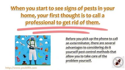 Why Do It Yourself Pest Control is a Better Option
