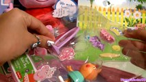 Singing Ballerina Peppa Pig ❤ Peppas Ballet Bag NEW Nickelodeon Dolls by Fun Toys Collector