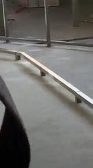 Des rats au lycée Jean-Moulin de Revin