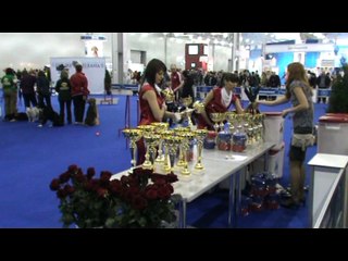 Best Breeders of the Russian "Eurasia" Dog Show
