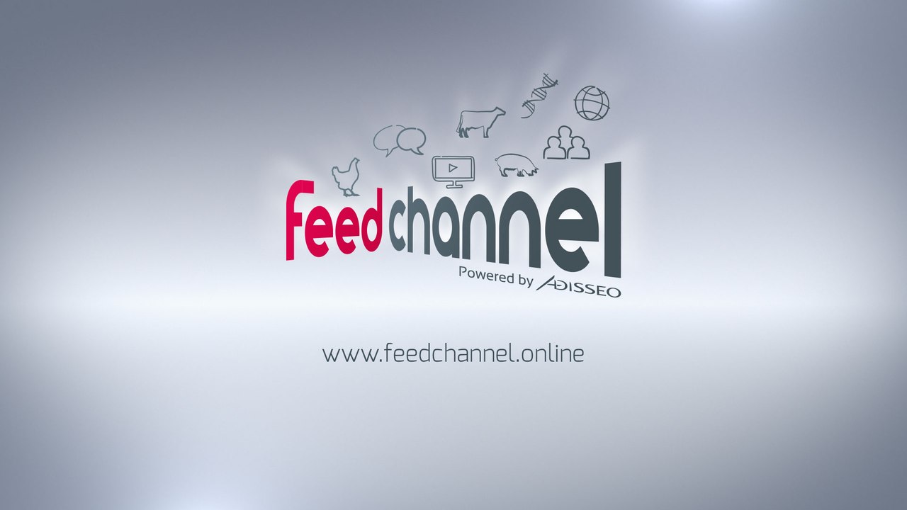 Webinar #1 - Feed Channel