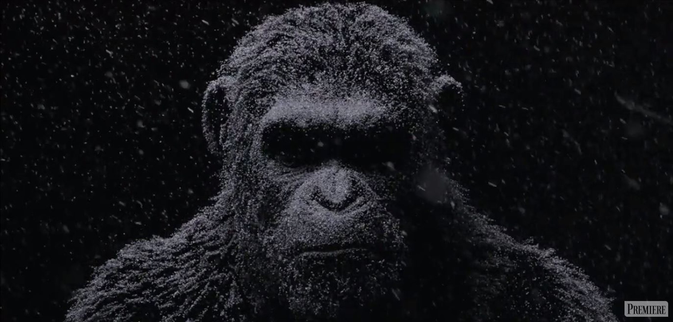 La Planète des singes 3 - Vidéo virale, image size:2258x1080