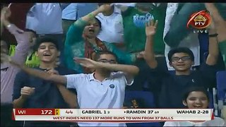 Pakistan Wins Against West Indies – Check out Celebration by Pakistan