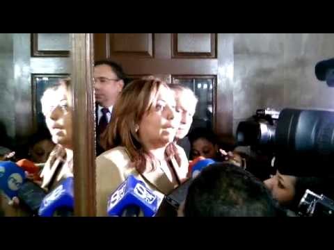 Ceila Peñalba, Fiscal Electoral Suplente