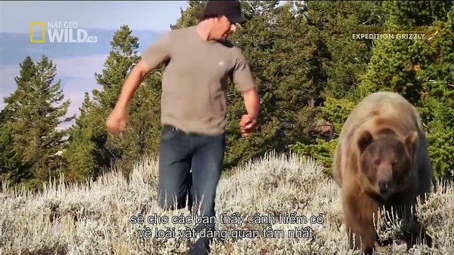 [ National Geographic Wild ] Wildest Explorer- Expedition Grizzly (Wildlife Documentary)