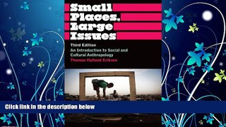 Popular Book Small Places, Large Issues: An Introduction to Social and Cultural Anthropology,