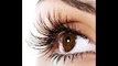 Eyelash growth Products-Can Do Wonder for Your Lashes
