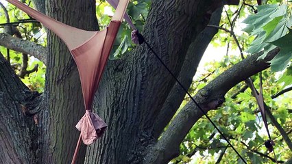 Frieze Projects: weird and wonderful