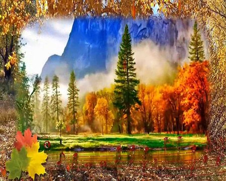 YILDIZ ÇAM - GÜZ MÜ GELDİ RENGİN SOLUK ( ÖMRÜM )