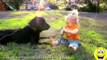 02.Funny Videos - Babies Laughing at Dogs - Cute dog & baby compilation