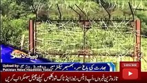 News Headlines Today 4 October 2016, Latest News Updates