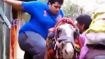 Whatsapp India Most Viral Funny Videos 2016 Can't Stop Laughing Funny Video Clips Compilation