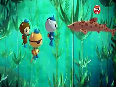 Les octonauts en Francais Saison 1 Episode 15 La foret de Varech