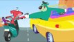 Rat-A-Tat | 'Fast & Furious ' Car Special | Chotoonz Kids Funny Cartoon Videos Sunday Sundaes