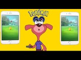 Pokemon GO Game - Lets Play with Doggie Don| Dog Playing Rat a Tat | Funny Kids Videos | Chotoonz TV