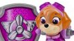 Paw Patrol La Pat Patrouille Skye Hélicoptère Véhicule et Figurines Jouets Pour Les Enfants