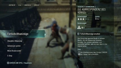 Assassins Creed Unity (52)