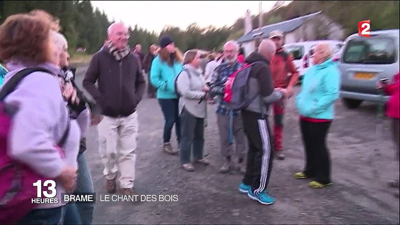 Au fond des bois, la chasse au brame du cerf