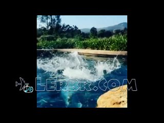 WWE Nikki Bella HOT Compilation - 19