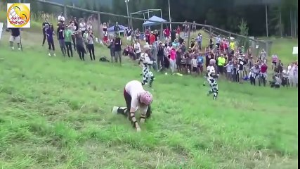 New Funny videos 2016 funny vines try not to laugh challenge (P6)