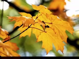 Emisiunea Radio-Tv Arthis din 07.10.2016/P2/ro.