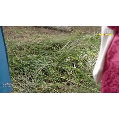 مقطع مضحك من مسلسل جديد 